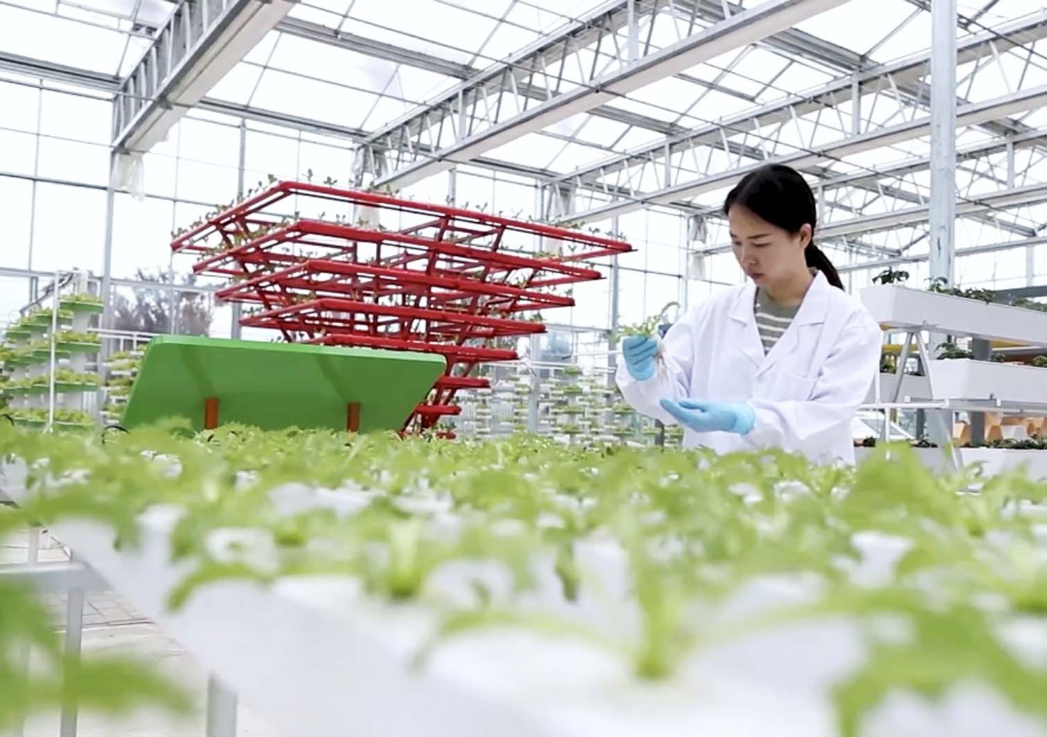 永昌县农业技术推广服务中心2025年永昌县地膜科学使用回收实施项目中标（成交）结果公告