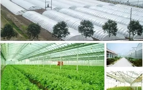 崖州湾国家实验室智慧农业技术中心招聘派遣制技术员（附报名方式）