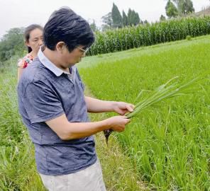 山东省智慧农业应用技术培训班在青岛举办